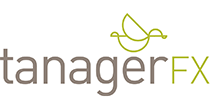 Wealth Management Services